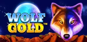 Keasikan Bermain Wolf Gold dari Pragmatic Play