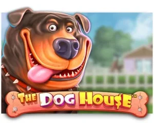 The Dog House: Petualangan Seru dengan Hadiah Menarik!