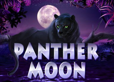 Rasakan Misteri Malam di Slot Panther Moon!